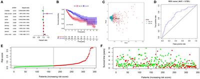 Development and Validation of a Prognostic Signature Associated With Tumor Microenvironment Based on Autophagy-Related lncRNA Analysis in Hepatocellular Carcinoma